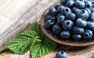 10 Best Foods for Longevity