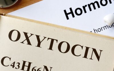 Libido And Hormone Balance
